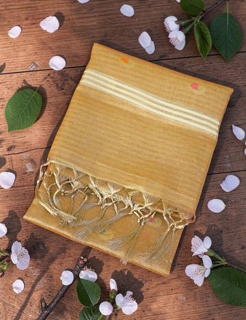 Tissue Linen Cotton Golden Saree