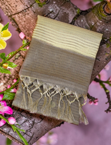 Tissue Linen Cotton Grey Saree